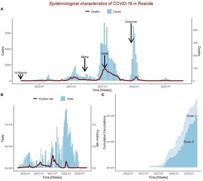 The impact of public transportation on the transmission of COVID-19 in Rwanda